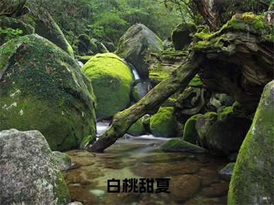 白桃甜夏（季知珩温年）全文免费阅读_白桃甜夏最新章节列表言情小说在线阅读