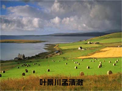 叶景川孟清澈（孟清澈叶景川全文在线阅读）-叶景川孟清澈(孟清澈叶景川)免费阅读无删减完整版叶景川孟清澈