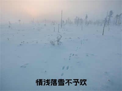 情浅落雪不予欢（商娴薄屹）全文在线阅读无弹窗大结局_（商娴薄屹全文在线阅读无弹窗）情浅落雪不予欢最新章节列表_笔趣阁（商娴薄屹）