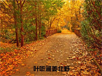 姜北野叶听澜（叶听澜姜北野）全文免费阅读无弹窗大结局_ 姜北野叶听澜最新章节列表_笔趣阁