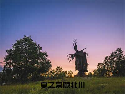 热门小说夏之棠顾北川 全文免费阅读无弹窗大结局-夏之棠顾北川全文无弹窗免费阅读大结局