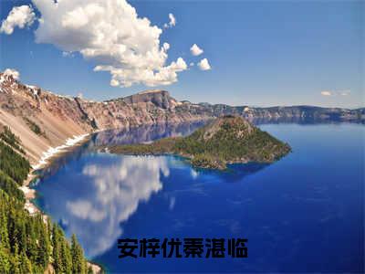 安梓优秦湛临秦湛临安梓优小说（秦湛临安梓优）全文在线阅读无弹窗大结局安梓优秦湛临