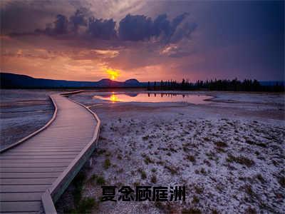 夏念顾庭洲（顾庭洲夏念小说）全文免费阅读无弹窗大结局_夏念顾庭洲全文免费阅读_笔趣阁