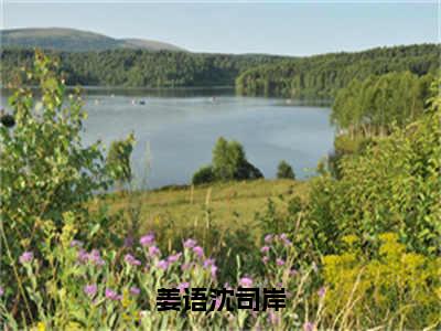 姜语沈司岸沈司岸姜语免费阅读大结局无弹窗-姜语沈司岸小说推荐沈司岸姜语精彩章节在线阅读