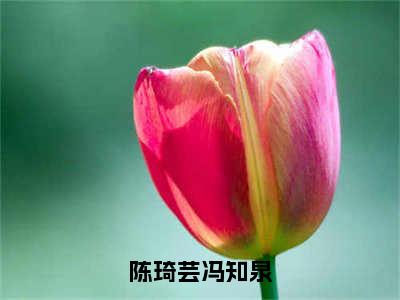 陈琦芸冯知泉（冯知泉陈琦芸）小说全文免费阅读正版无弹窗_(冯知泉陈琦芸)免费阅读无弹窗最新章节列表_笔趣阁