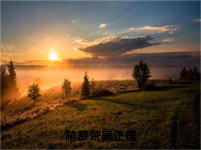 林梦梵吴正霆(吴正霆林梦梵)全文免费阅读大结局_(林梦梵吴正霆)吴正霆林梦梵免费在线阅读无删减_笔趣阁