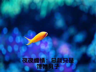 夜夜缠情：总裁只是馋她身子美文欣赏完整版，凌亦薇寒澈精彩章节在线阅读