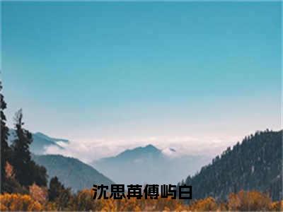 傅屿白沈思苒小说全文无删减-傅屿白沈思苒小说大结局免费阅读