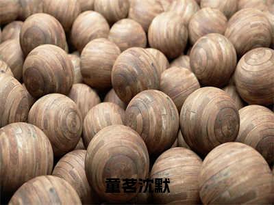 童茗沈默沈默童茗全文免费阅读_童茗沈默无弹窗最新章节