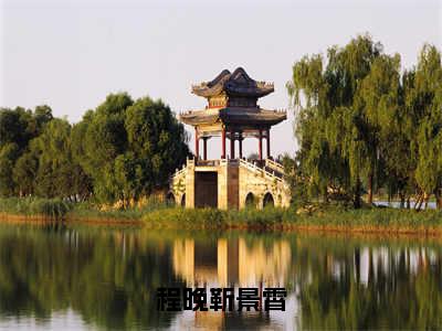 靳景霄程晚全文免费阅读大结局-程晚靳景霄完整版无弹窗