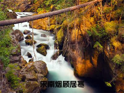 宋南烟顾居寒（顾居寒宋南烟）全文免费阅读无弹窗_顾居寒宋南烟最新小说_笔趣阁