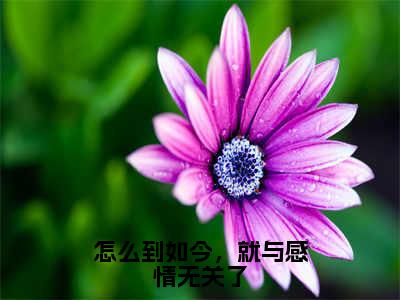 沈阙温天柔最新章节（怎么到如今，就与感情无关了）全文免费阅读无弹窗大结局_沈阙温天柔免费阅读（怎么到如今，就与感情无关了）