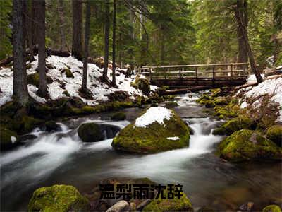 温梨雨沈辞（沈辞温梨雨）全文免费阅读无弹窗大结局_温梨雨沈辞（温梨雨沈辞）免费在线阅读最新章节列表笔趣阁（沈辞温梨雨）