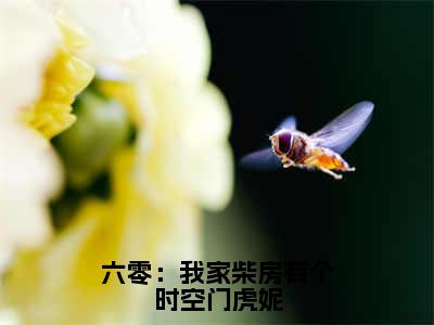 虎妮（虎妮）是什么小说-（六零：我家柴房有个时空门虎妮）无弹窗免费阅读大结局最新章节列表_笔趣阁