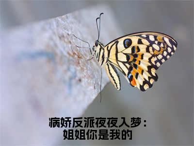 病娇反派夜夜入梦：姐姐你是我的(沈夏)全文免费阅读_（沈夏）小说病娇反派夜夜入梦：姐姐你是我的最新章节阅读（病娇反派夜夜入梦：姐姐你是我的）