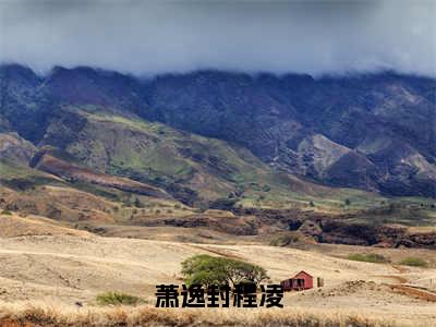 萧逸封程凌全文免费阅读无弹窗大结局（程凌萧逸封）_萧逸封程凌最新章节列表_笔趣阁（程凌萧逸封）