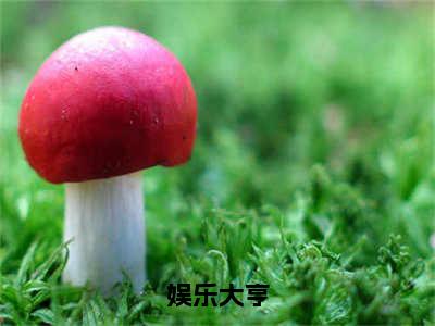 （娱乐大亨）小说全文免费阅读无弹窗大结局_王浩娱乐大亨最新章节列表笔趣阁