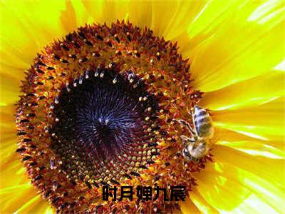 时月婵九宸小说讲的是什么-九宸时月婵精彩章节目录观看