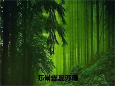 夏亦珊苏景霆（苏景霆夏亦珊小说）全文免费阅读无弹窗大结局_（夏亦珊苏景霆）苏景霆夏亦珊小说最新章节列表_笔趣阁（苏景霆夏亦珊小说）