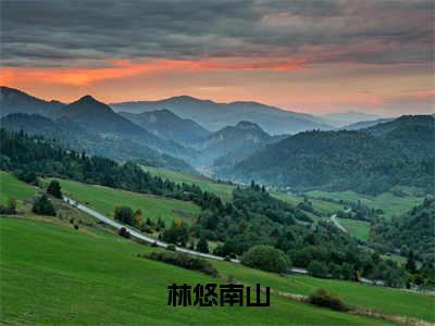 南山林悠（林悠南山）小说免费在线阅读_南山林悠全本免费小说阅读大结局（林悠南山）