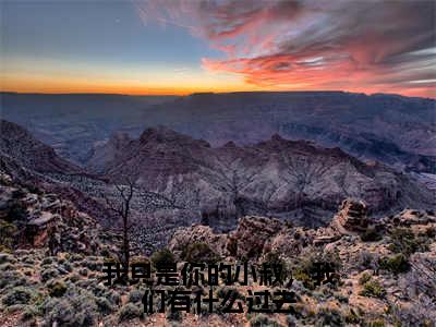 我只是你的小叔，我们有什么过去（曹星月顾尘泽）全文免费阅读无弹窗大结局_我只是你的小叔，我们有什么过去小说最新章节列表_笔趣阁