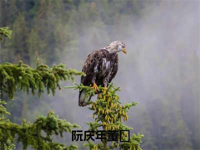 阮庆年董苼（阮庆年董苼）小说最新章节在线阅读-阮庆年董苼（阮庆年董苼）已完结全集大结局