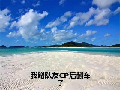 夏星河（我蹭队友CP后翻车了）全文免费阅读无弹窗大结局_夏星河我蹭队友CP后翻车了_笔趣阁