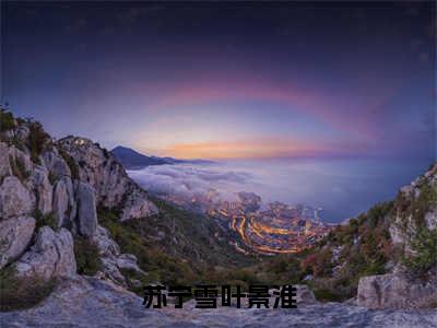 苏宁雪叶景淮全本小说无弹窗阅读-苏宁雪叶景淮（苏宁雪叶景淮）精彩热门小说