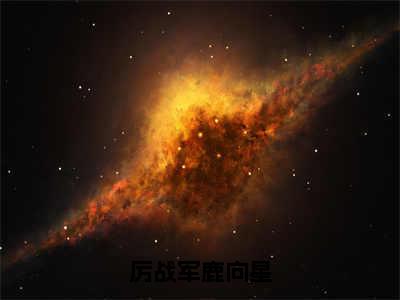 厉战军鹿向星全文免费阅读（鹿向星厉战军）全文无删减版在线阅读_厉战军鹿向星全文免费阅读最新章节列表_笔趣阁