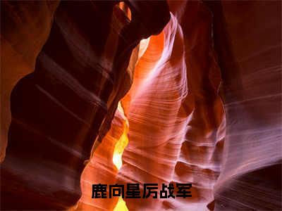 鹿向星厉战军（鹿向星厉战军）小说全文免费阅读无弹窗大结局_鹿向星厉战军全文在线阅读无弹窗（鹿向星厉战军）