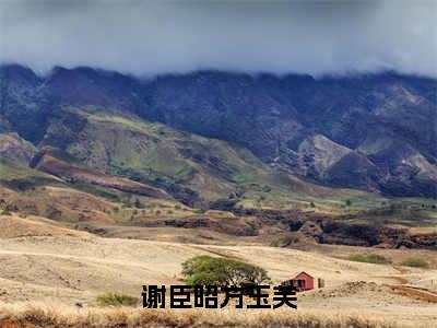 小说（谢臣昭方玉芙）_谢臣昭方玉芙全文阅读_谢臣昭方玉芙免费阅读大结局