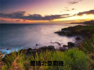 墨靖北夏蔚晚（夏蔚晚墨靖北）完整版小说阅读_墨靖北夏蔚晚全文免费阅读最新章节列表_笔趣阁