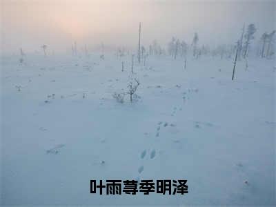 小说(叶雨荨季明泽)全文免费阅读_(叶雨荨季明泽)小说全文免费阅读