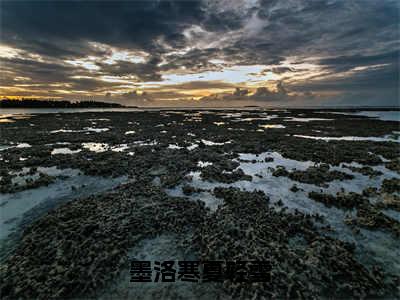 夏轻雪墨洛寒小说墨洛寒夏轻雪全章节阅读-主角为夏轻雪墨洛寒的小说叫什么墨洛寒夏轻雪