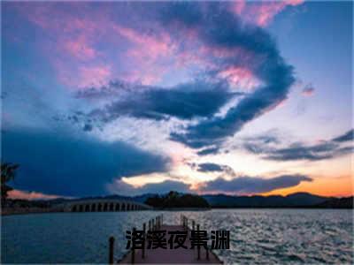 洛溪夜景渊（夜景渊洛溪）全文免费阅读无弹窗大结局_洛溪夜景渊（洛溪夜景渊）免费在线阅读最新章节列表笔趣阁（夜景渊洛溪）