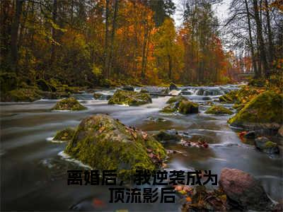 离婚后，我逆袭成为顶流影后(陆京辞沈呦)全文免费阅读大结局_离婚后，我逆袭成为顶流影后全文在线完本阅读