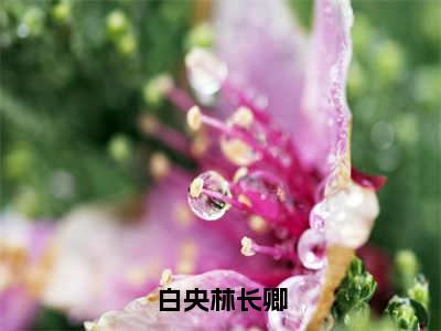 白央林长卿（白央林长卿全章节完整版）免费阅读_（白央林长卿）全文无删减免费阅读（白央林长卿）