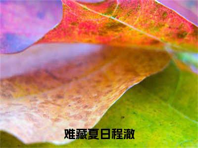 云想程澈小说全文-难藏夏日程澈精选小说云想程澈大结局阅读