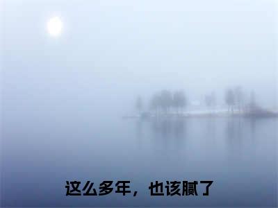 这么多年，也该腻了在线阅读（时宥霖沈舒浅）全文无弹窗大结局_时宥霖沈舒浅全文在线阅读无弹窗