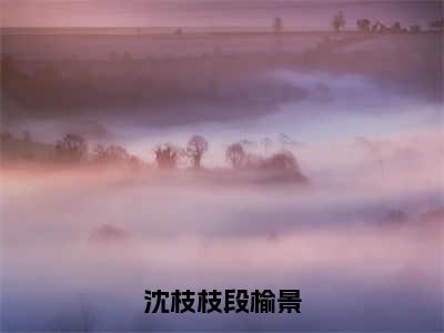 沈枝枝段榆景(段榆景沈枝枝)全文免费阅读无弹窗大结局_沈枝枝段榆景最新章节列表_笔趣阁(段榆景沈枝枝)