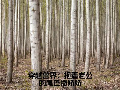 穿越兽界：抱着老公的尾巴撒娇娇全文免费阅读无弹窗大结局_阿瓦达元珈罗无弹窗全文阅读