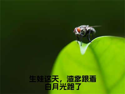 （热推新书）《生娃这天，渣爹跟着白月光跑了》全文免费阅读最新章节大结局-宫墨寒许摘星无弹窗阅读