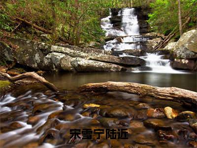 宋雪宁陆近小说陆近宋雪宁（已完结小说全集完整版大结局）宋雪宁陆近小说全文阅读笔趣阁