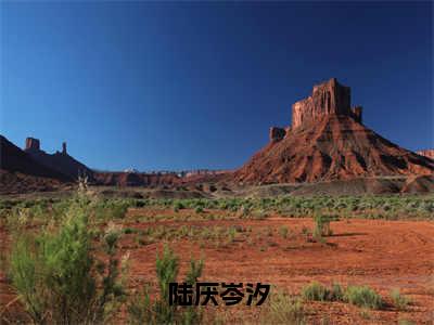 陆厌岑汐（岑汐陆厌）全文免费阅读无弹窗大结局_陆厌岑汐（岑汐陆厌）小说全文免费阅读最新章节列表