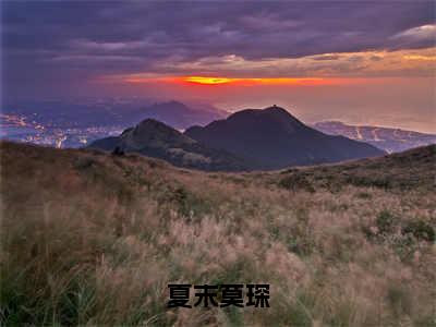 夏末莫琛（夏末莫琛）全文免费阅读无弹窗大结局_夏末莫琛小说精彩免费试读