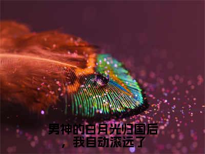 苏星蕴迟为简（苏星蕴迟为简）全文免费阅读无弹窗_男神的白月光归国后，我自动滚远了小说免费阅读_笔趣阁