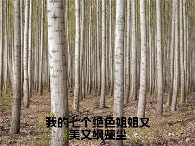 我的七个绝色姐姐又美又飒楚尘(楚尘)全文免费阅读无弹窗大结局_(我的七个绝色姐姐又美又飒楚尘免费阅读)楚尘无弹窗最新章节列表