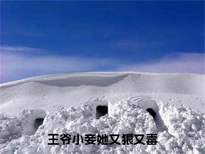 （顾瑾谢冷雪）全文免费阅读无弹窗大结局 王爷小妾她又狠又毒免费阅读最新章节精彩免费阅读_笔趣阁