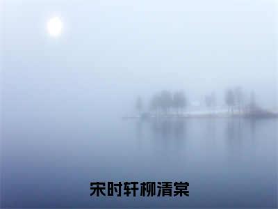 柳清棠宋时轩全文免费阅读大结局-宋时轩柳清棠最新章节阅读