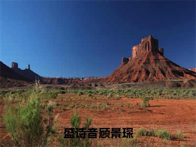 盛诗音顾景琛小说全文免费阅读 （盛诗音顾景琛）免费阅读全文免费阅读无弹窗大结局